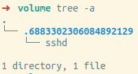 SSHD Hijacking